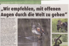 12.Erftkurier2015_12_16